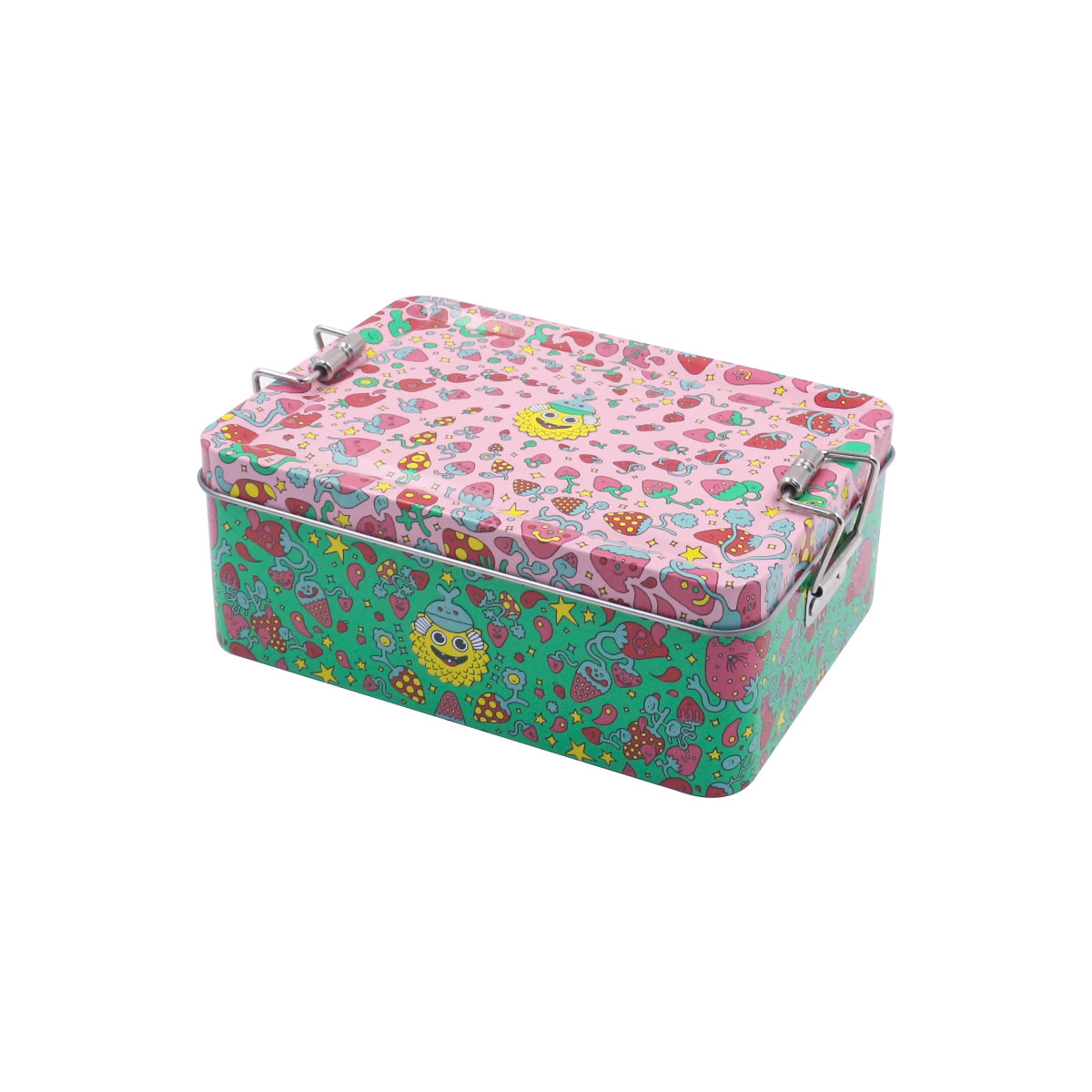 Food Tin Container Box with Double Tin Hasp